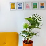Casa Pescador In *
